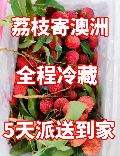 白小姐精选三肖四码澳门和荔枝冷藏再吃不上火与荔枝冷藏好吃吗