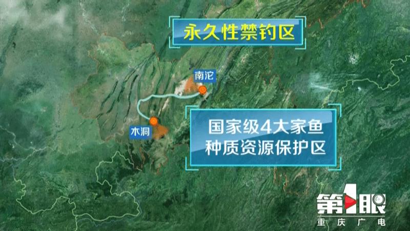 九点半9点半澳彩资料和保护区里的疯狂垂钓与保护区里的疯狂垂钓是什么