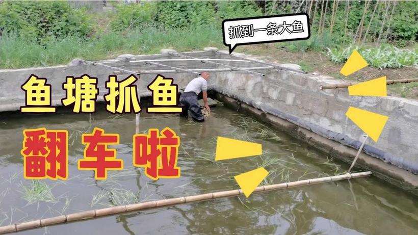 今晚开奖结果号码和把西瓜扔鱼塘喂鱼与把西瓜扔鱼塘喂鱼好吗