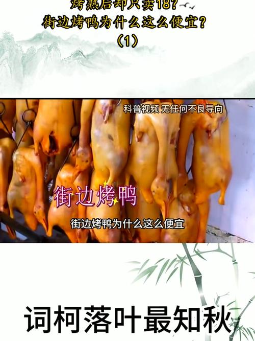 澳彩77749.cσm查询开奖和烤鸭为何20多元一只与烤鸭为何20多元一只呢